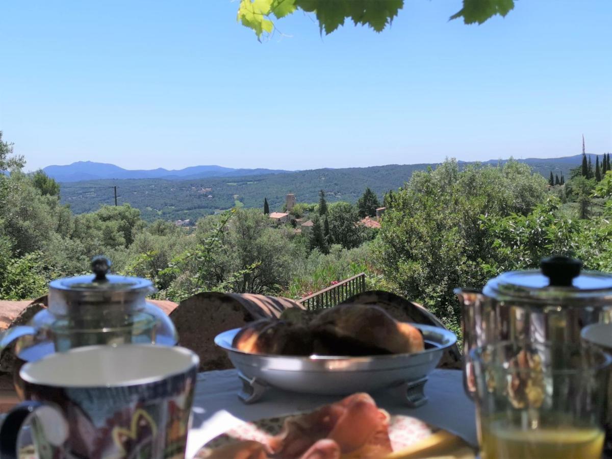 Bed and Breakfast Le Nid Des Arts Tourrettes Exterior foto